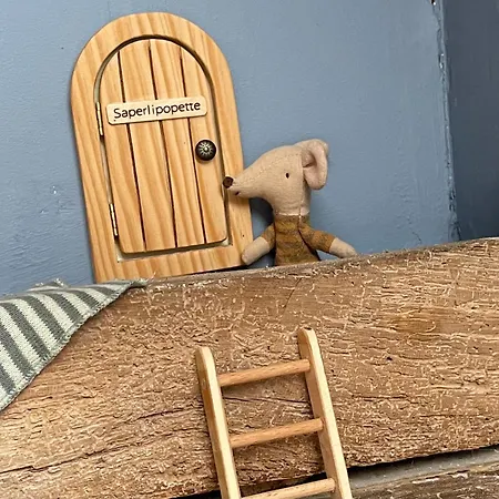 Saperlipopette Charmante Demeure En Pierre De Taille * Baincthun